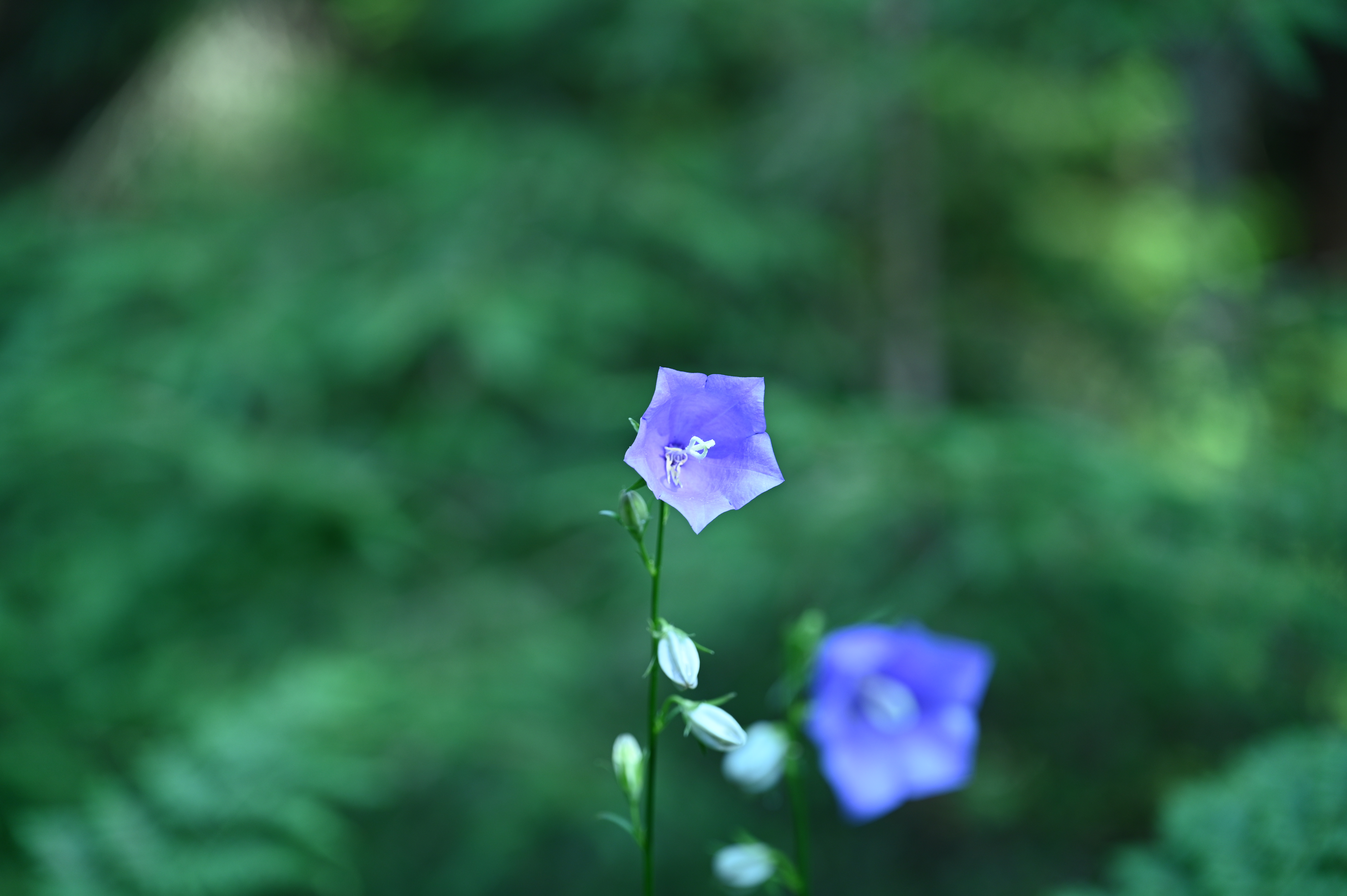 2025/07/09-14 - trip/DSC_0275.JPG